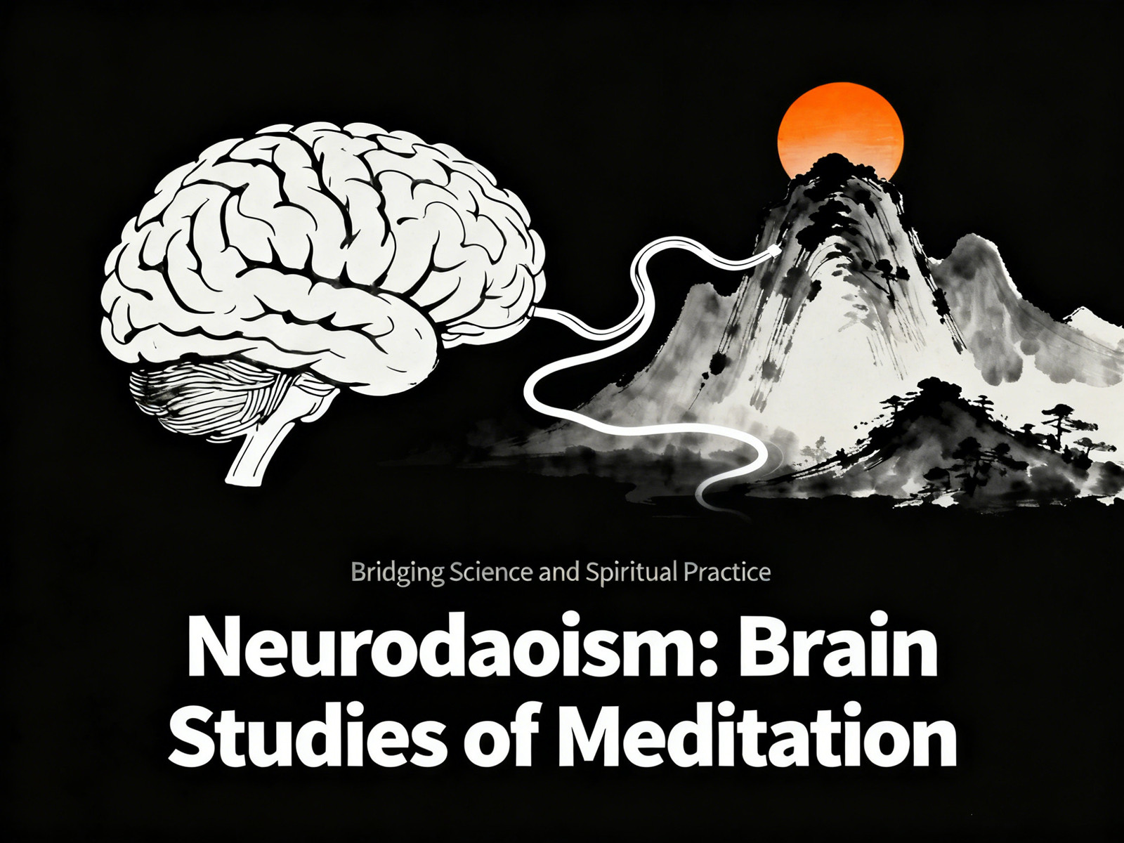 Neurodaoism Brain Studies of Meditation (2)