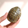 Carved Green Sandalwood Turtle Shell – Wealth Prosperity Ornament (3)