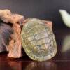 Carved Green Sandalwood Turtle Shell – Wealth Prosperity Ornament (5)