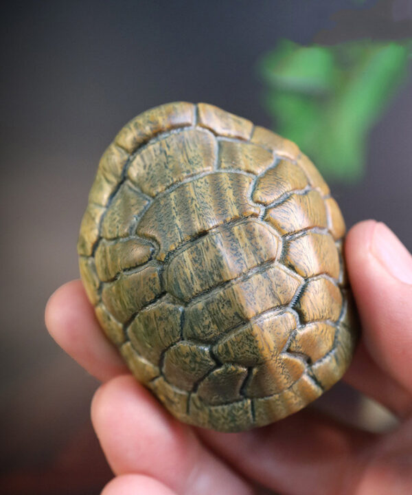 Carved Green Sandalwood Turtle Shell – Wealth Prosperity Ornament