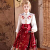 Ming-style Brocade Embroidered Horse-face Skirt Set (3)